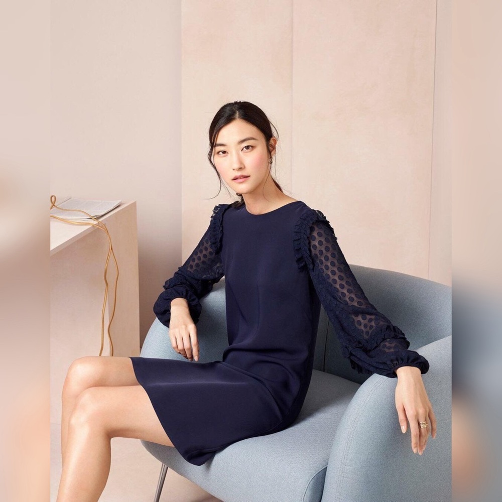 Ann Taylor Sheer Dot Ruffle Sleeve Crew Neck Navy Blue Shift Dress